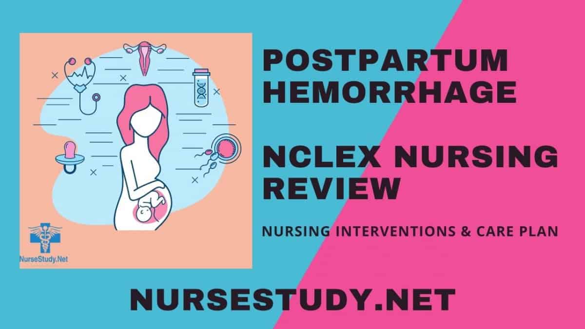 Postpartum Hemorrhage Nursing Care Plan The Nurse Page Hot Sex Picture