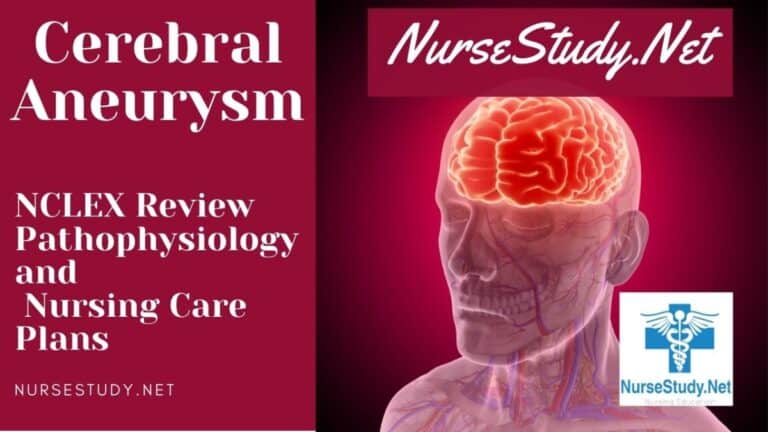 Cerebral Aneurysm Nursing Diagnosis and Nursing Care Plan - NurseStudy.Net