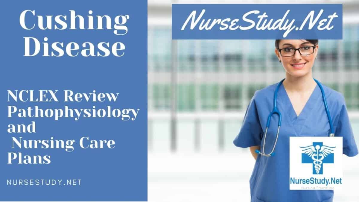 Cushing's Disease Nursing Diagnosis