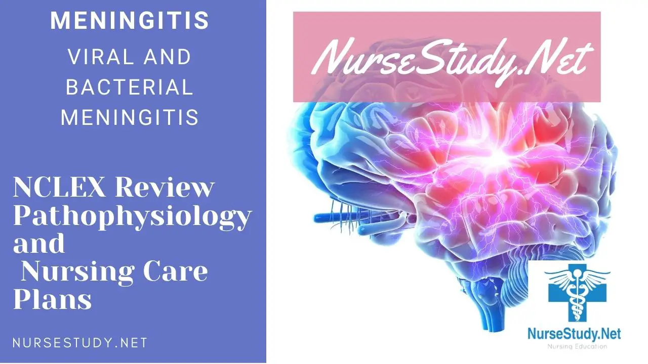 Meningitis Nursing Management Interventions Care Plans - NurseStudy.Net