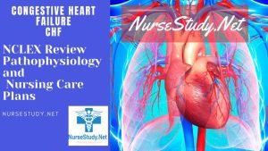 chf nursing diagnosis