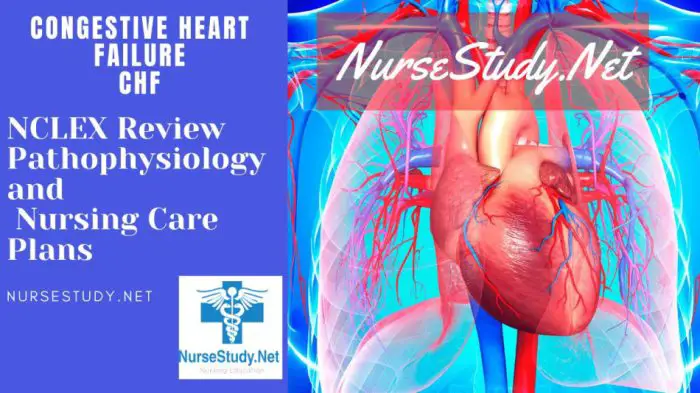 Congestive Heart Failure (CHF) Nursing Diagnosis & Care Plan ...