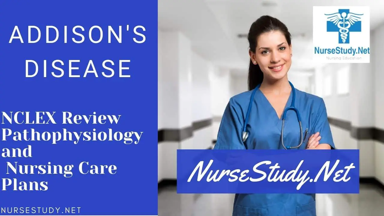 Addison's Disease Nursing Diagnosis Interventions and Care Plans
