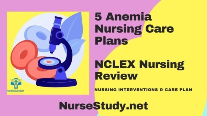Anemia Nursing Diagnosis and Care Plans - NurseStudy.Net