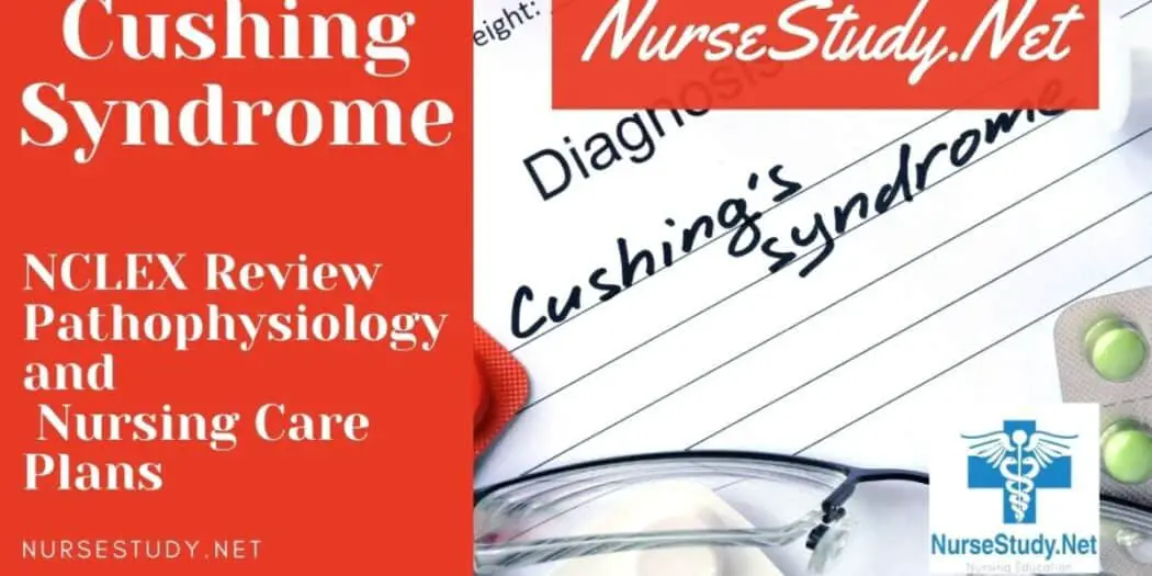 Cushing Syndrome Nursing Diagnosis Interventions and Care Plans