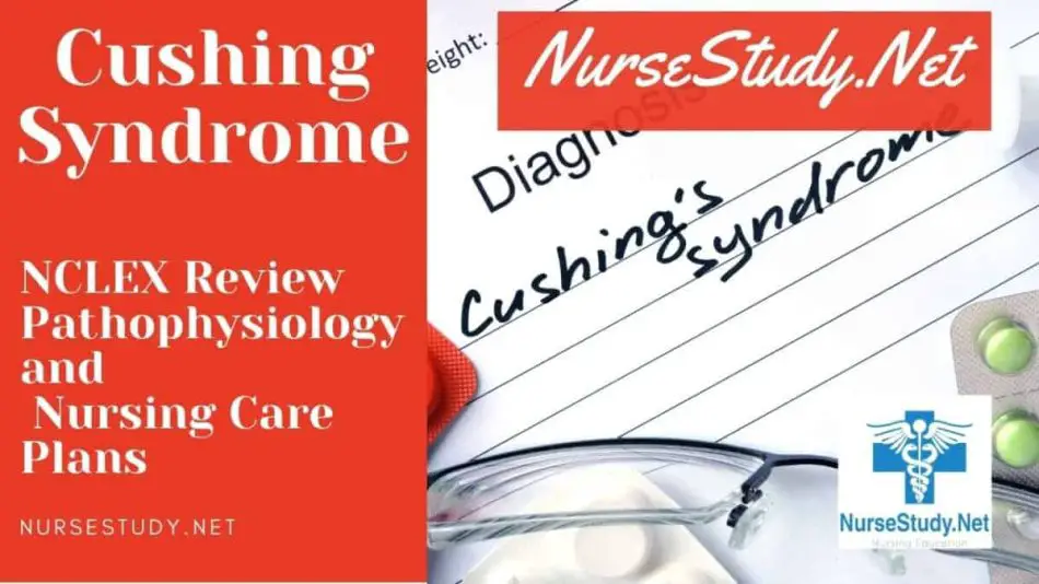 cushing's syndrome nursing diagnosis