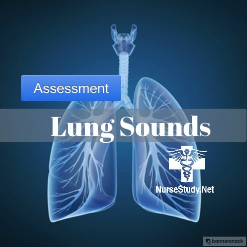 auscultating lung sounds