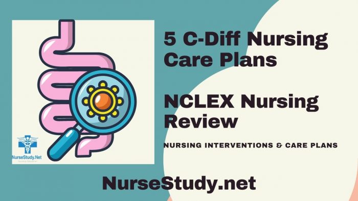 Clostridioides Difficile Nursing Diagnosis and Care Plan - NurseStudy.Net