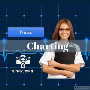 Nurse Charting
