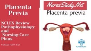 nursing diagnosis for placenta previa