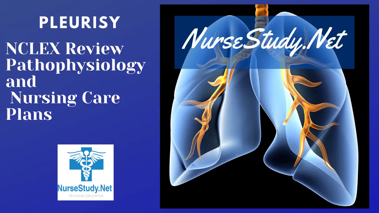 Pleurisy Nursing Diagnosis Care Plan - NurseStudy.Net