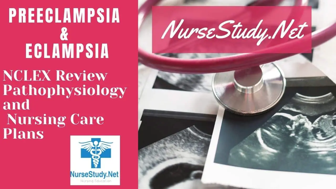 Preeclampsia And Eclampsia Nursing Diagnosis Care Plan Nursestudy Net