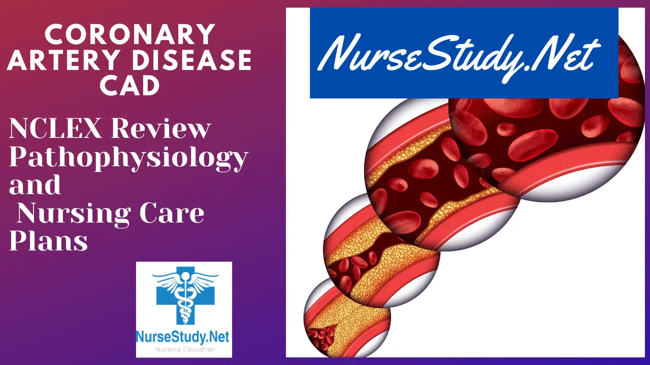 Nursing Assessment For Coronary Artery Disease