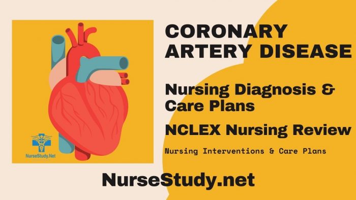 Coronary Artery Disease Nursing Diagnosis And Nursing Care Plan ...