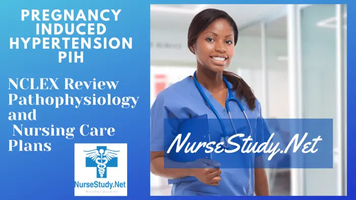 Pregnancy Induced Hypertension Nursing Diagnosis & Care Plan ...