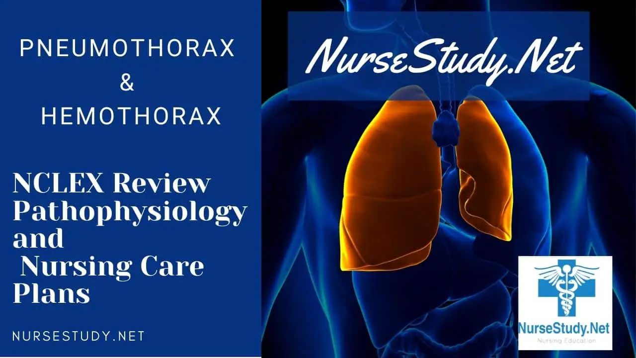 3 Sample Pneumothorax Nursing Care Plan Nursing Diagnosis Nursing Images