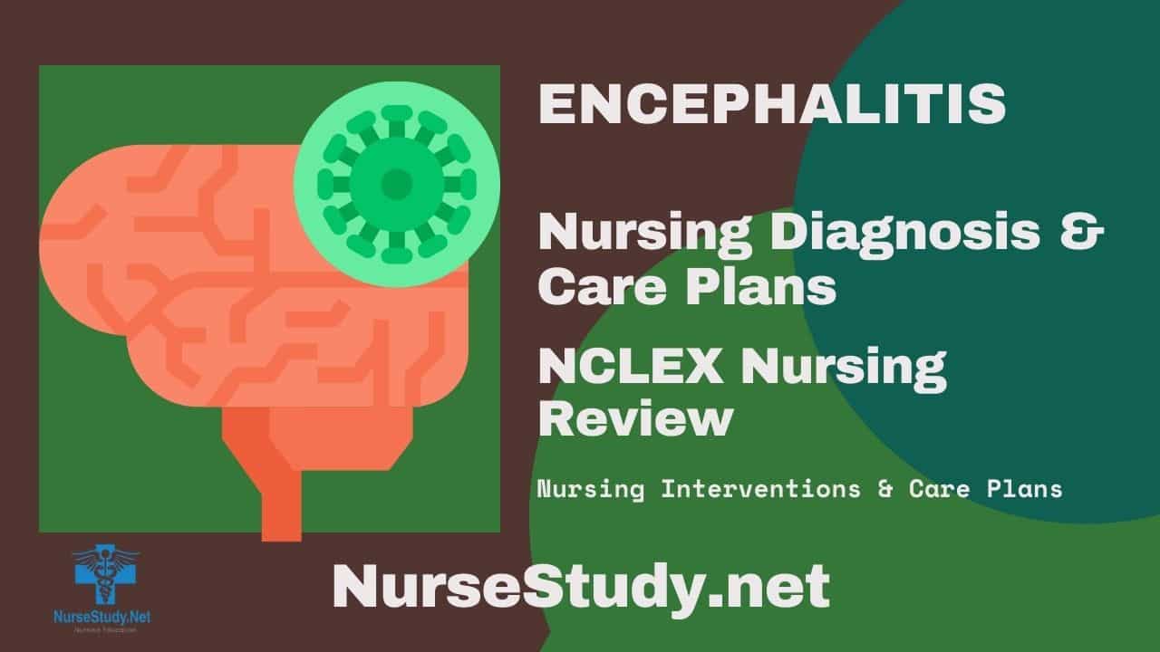nursing diagnosis for encephalitis