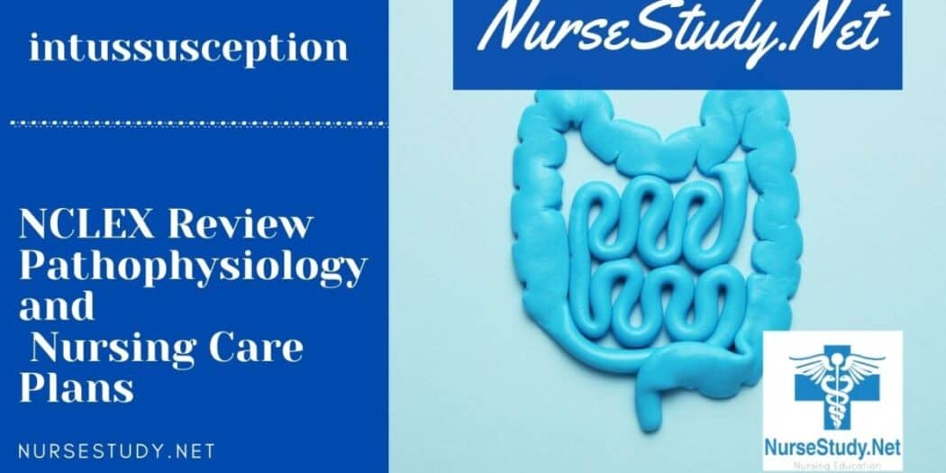 Intussusception Nursing Diagnosis Interventions and Care Plans