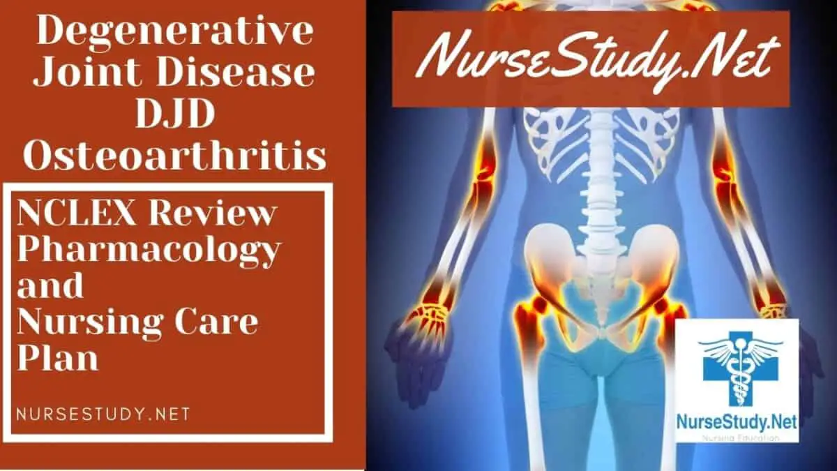 Degenerative Joint Disease DJD Osteoarthritis Nursing Diagnosis