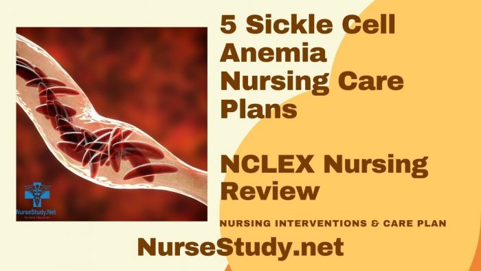 Sickle Cell Anemia Nursing Diagnosis