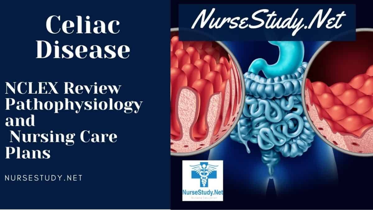 nursing diagnosis for celiac disease