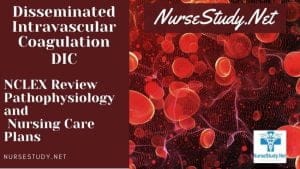 nursing diagnosis for disseminated intravascular coagulation