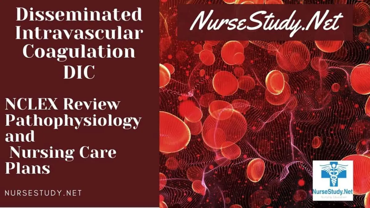 nursing diagnosis for disseminated intravascular coagulation