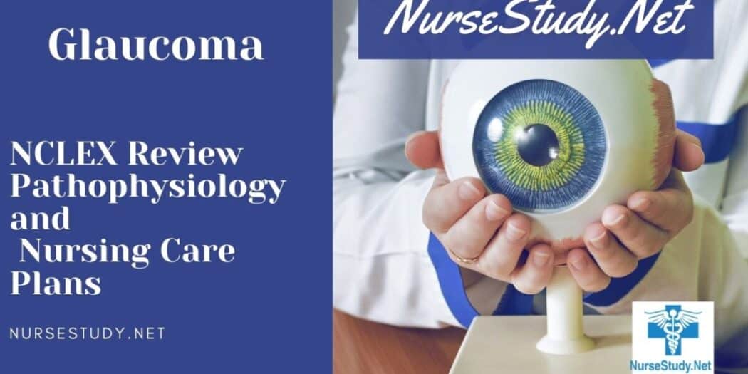 Nursing Diagnosis Interventions and Care Plans