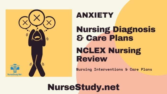 Anxiety Nursing Diagnosis Care Plan - NurseStudy.Net