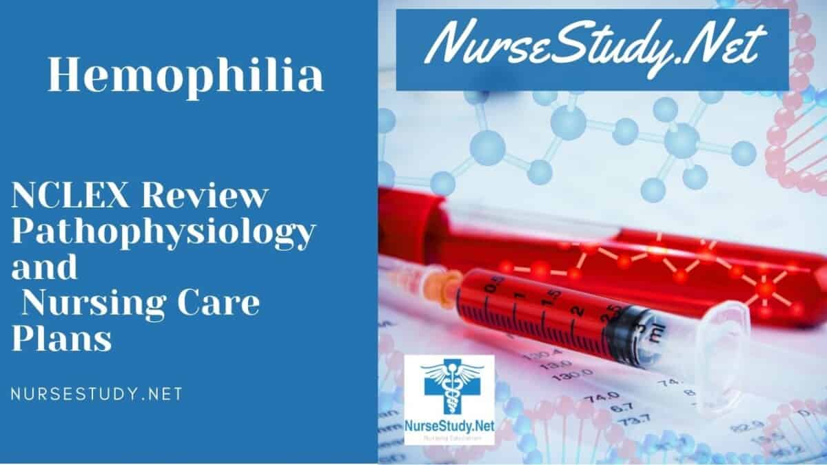 nursing diagnosis for hemophilia