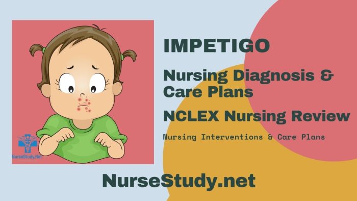 Impetigo Nursing Diagnosis and Nursing Care Plan - NurseStudy.Net