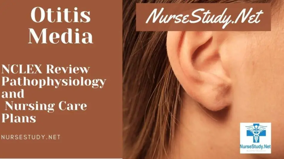 nursing diagnosis for otitis media