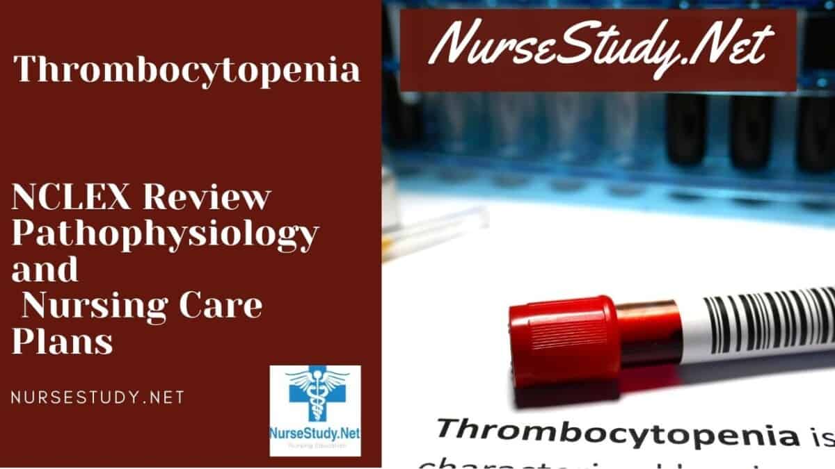 thrombocytopenia nursing diagnosis