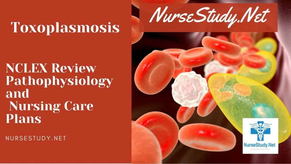 nursing diagnosis for toxoplasmosis