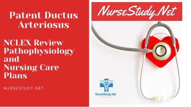 Patent Ductus Arteriosus Nursing Diagnosis and Nursing Care Plan ...