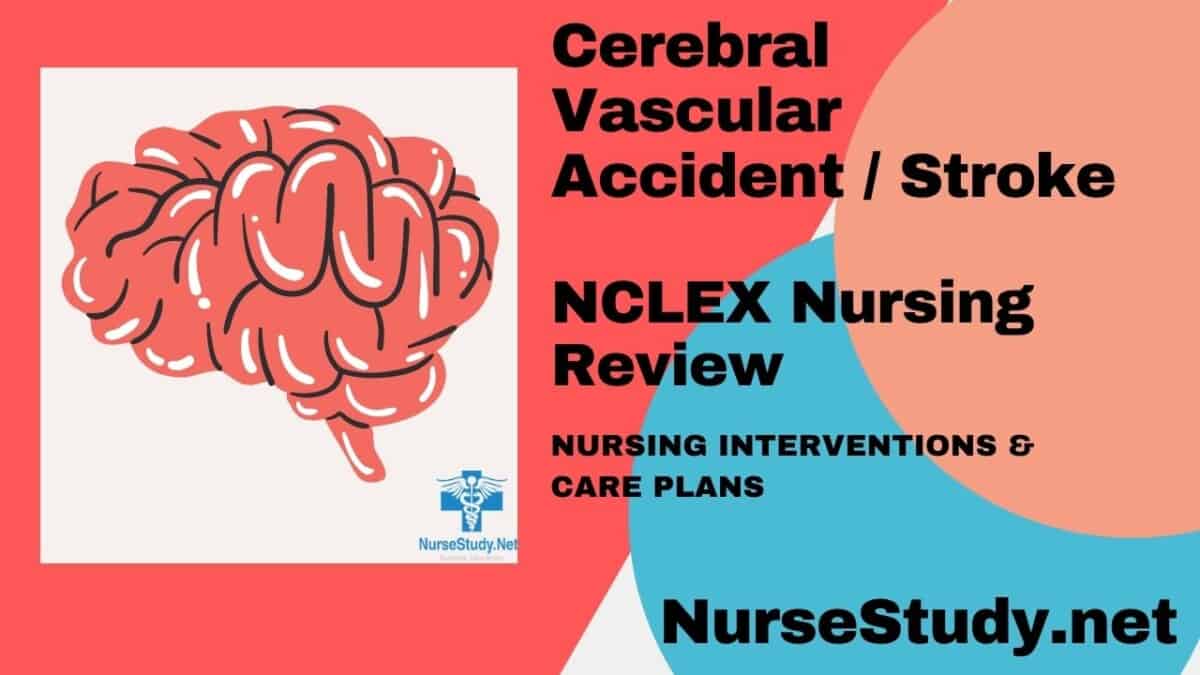 cerebrovascular-accident-cva-stroke-nursing-care-plans-diagnosis-and