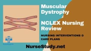 nursing diagnosis for muscular dystrophy