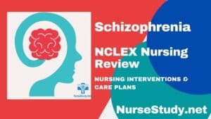 nursing diagnosis for schizophrenia