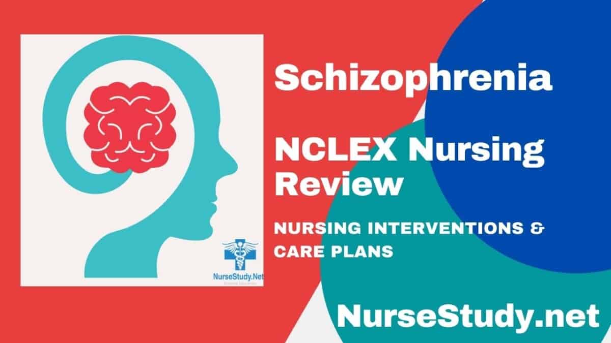 schizophrenia-nursing-diagnosis-and-nursing-care-plan-nursestudy-net