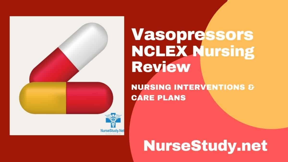 Vasopressors Nursing Pharmacology Study Guide NurseStudy Net