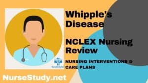 Whipple’s Disease Nursing Diagnosis