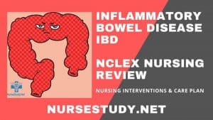 inflammatory bowel disease nursing diagnosis