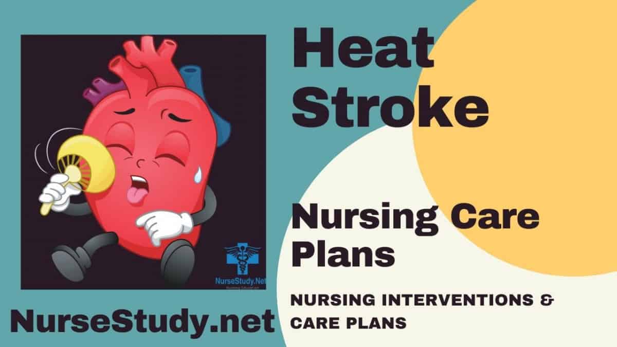 nursing diagnosis for heat stroke