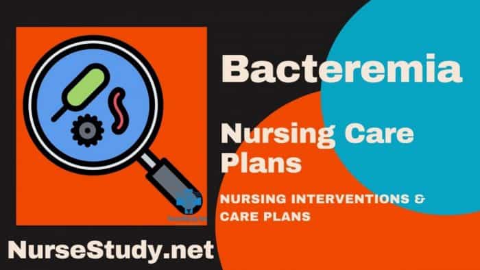 Bacteremia Nursing Diagnosis and Nursing Care Plan - NurseStudy.Net