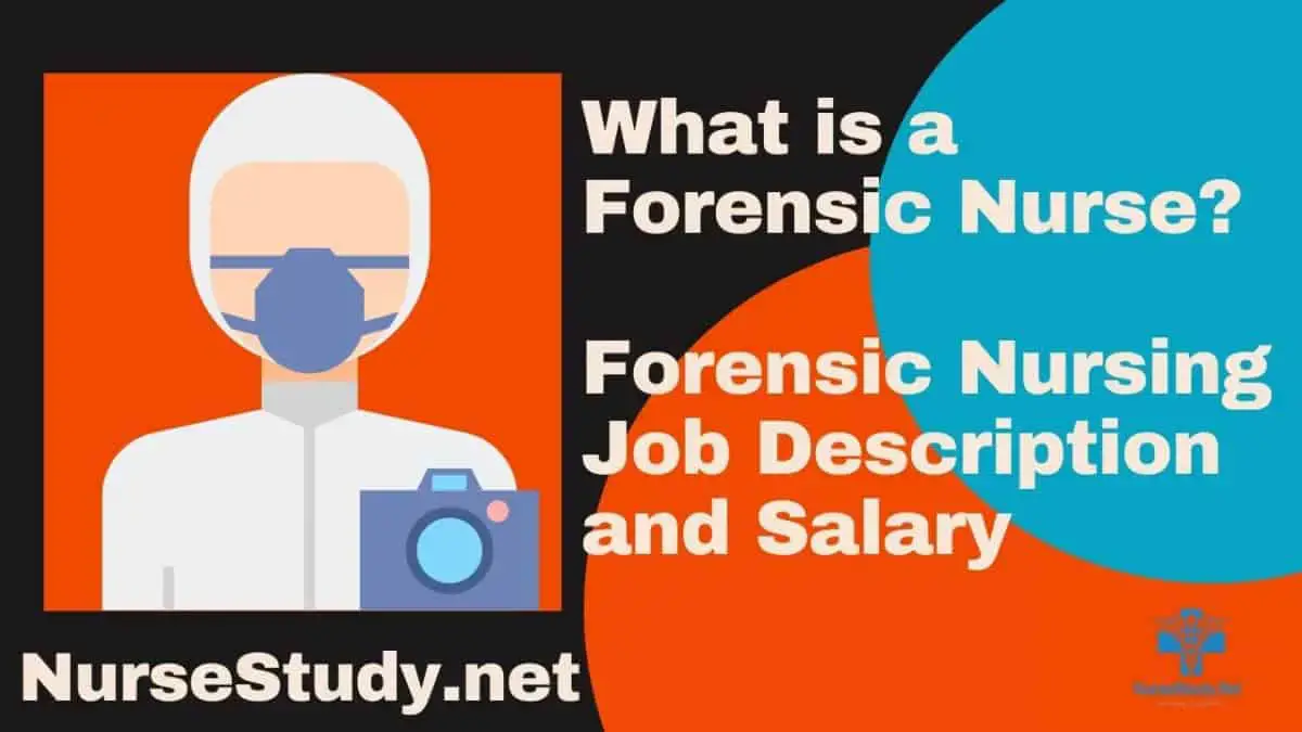 what-is-a-forensic-nurse-forensic-nursing-job-description-and-salary-nursestudy-net