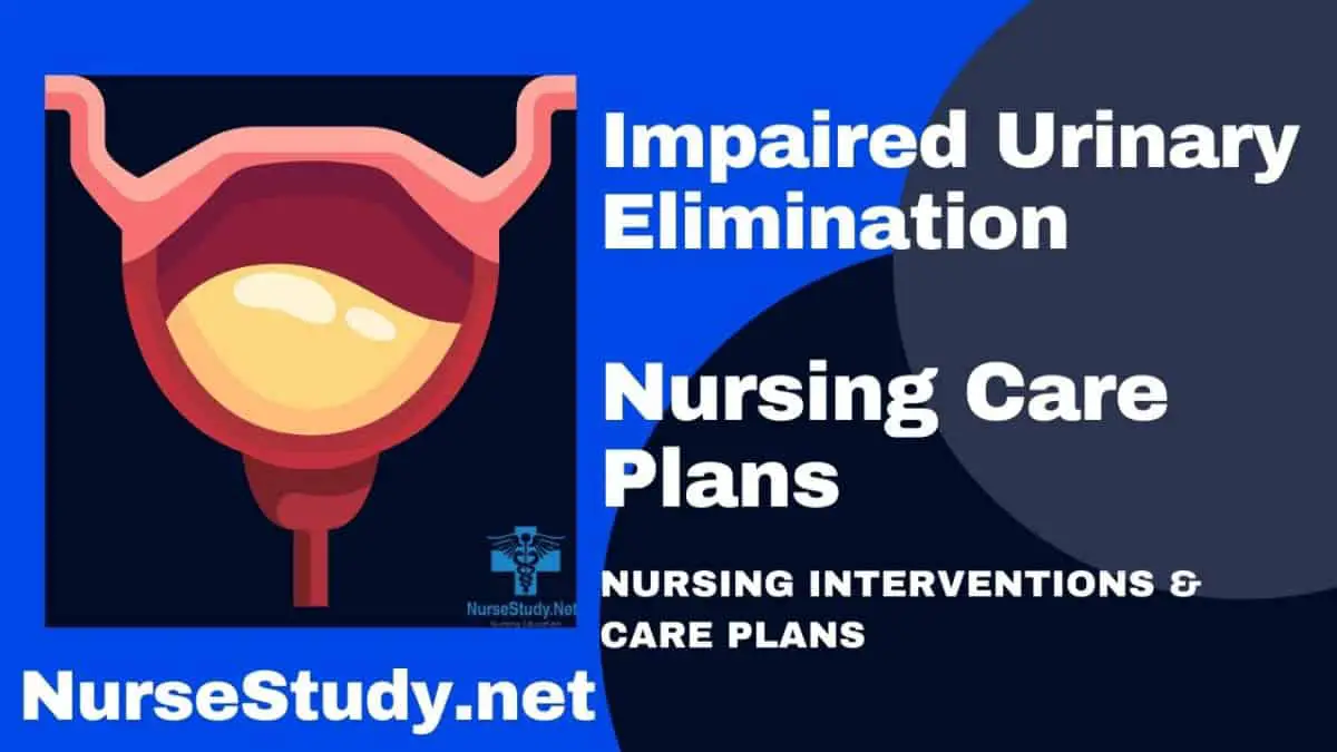 impaired urinary elimination nursing diagnosis