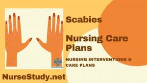 nursing diagnosis for scabies