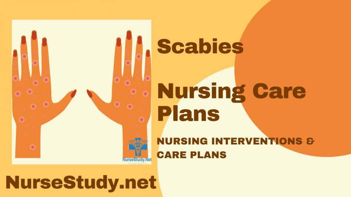 nursing diagnosis for scabies