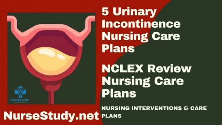 Urinary Incontinence Nursing Diagnosis and Nursing Care Plan ...