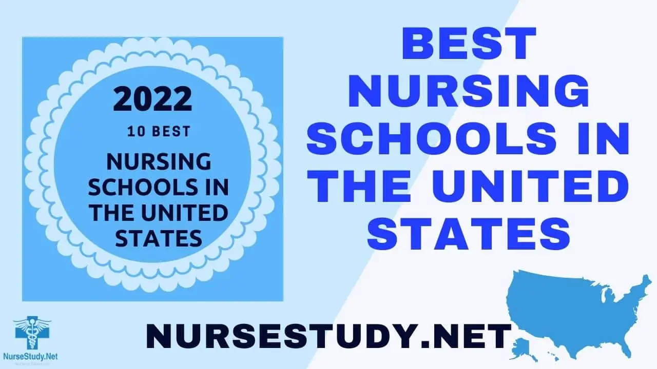 Best Nursing Schools In The United States NurseStudy Net   BNS US  